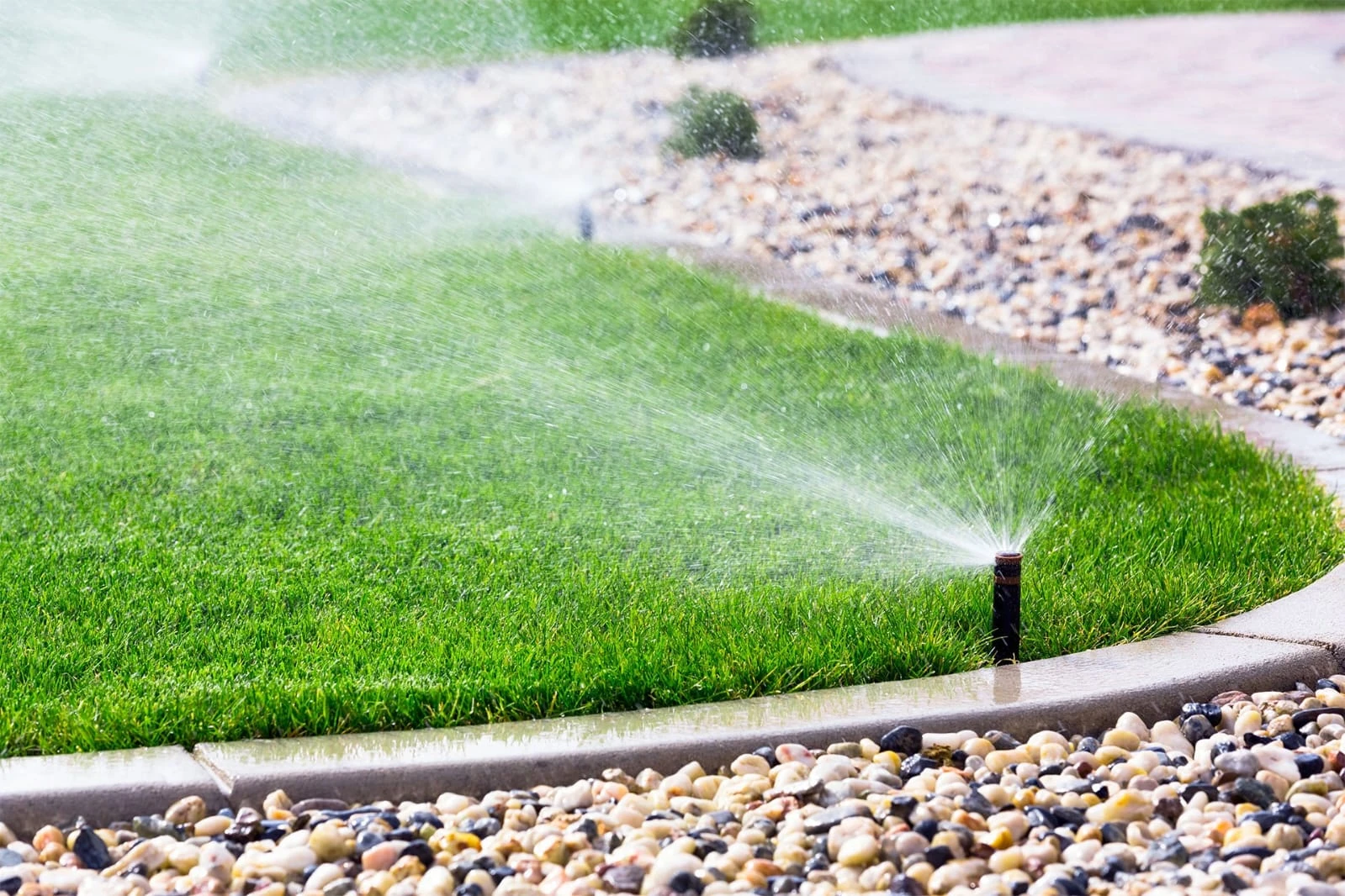 Irrigation sprinkler watering a green lawn beside a curved edge and pebbles