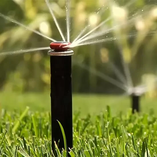 Close view of an irrigation sprinkler watering the lawn