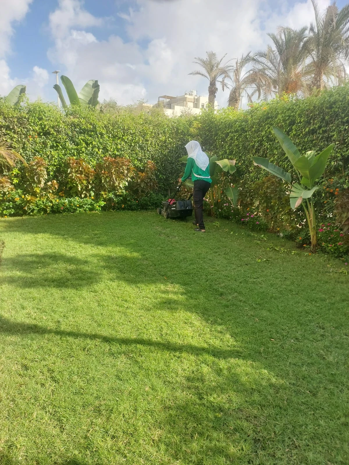 Mowing a green lawn beside trees and shrubs