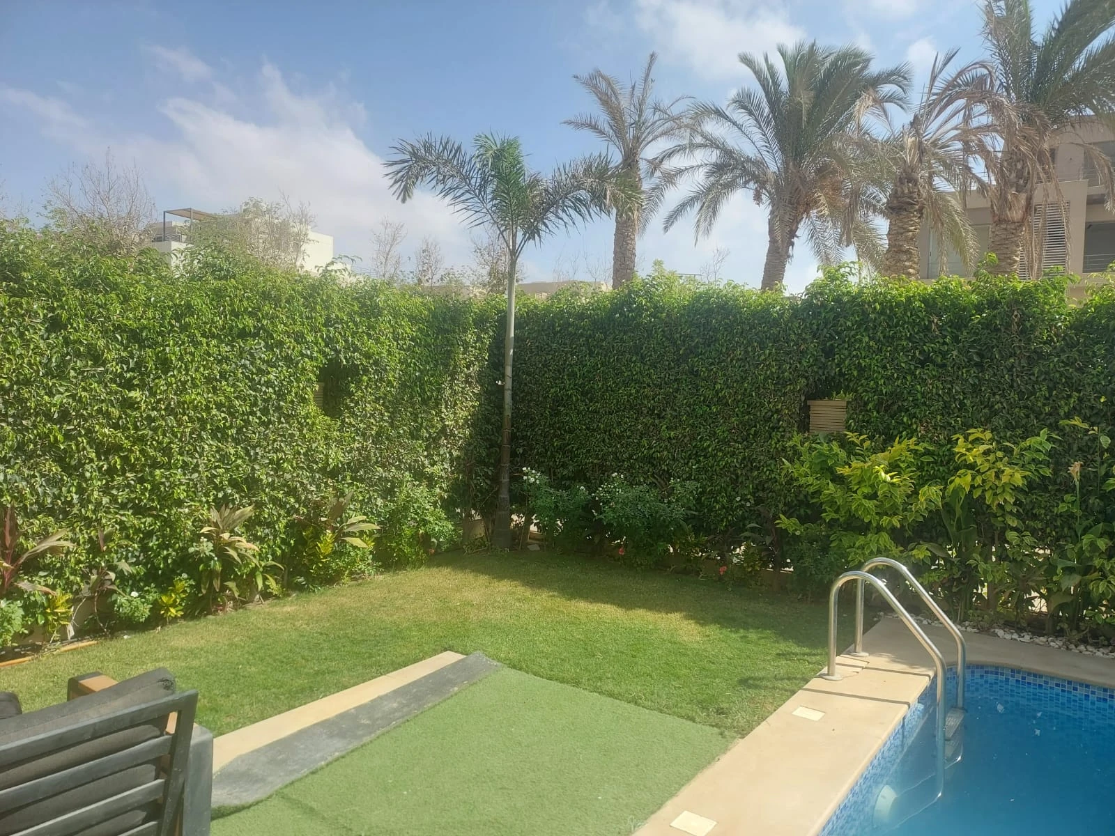 Green lawn, palms and a planted hedge beside a swimming pool