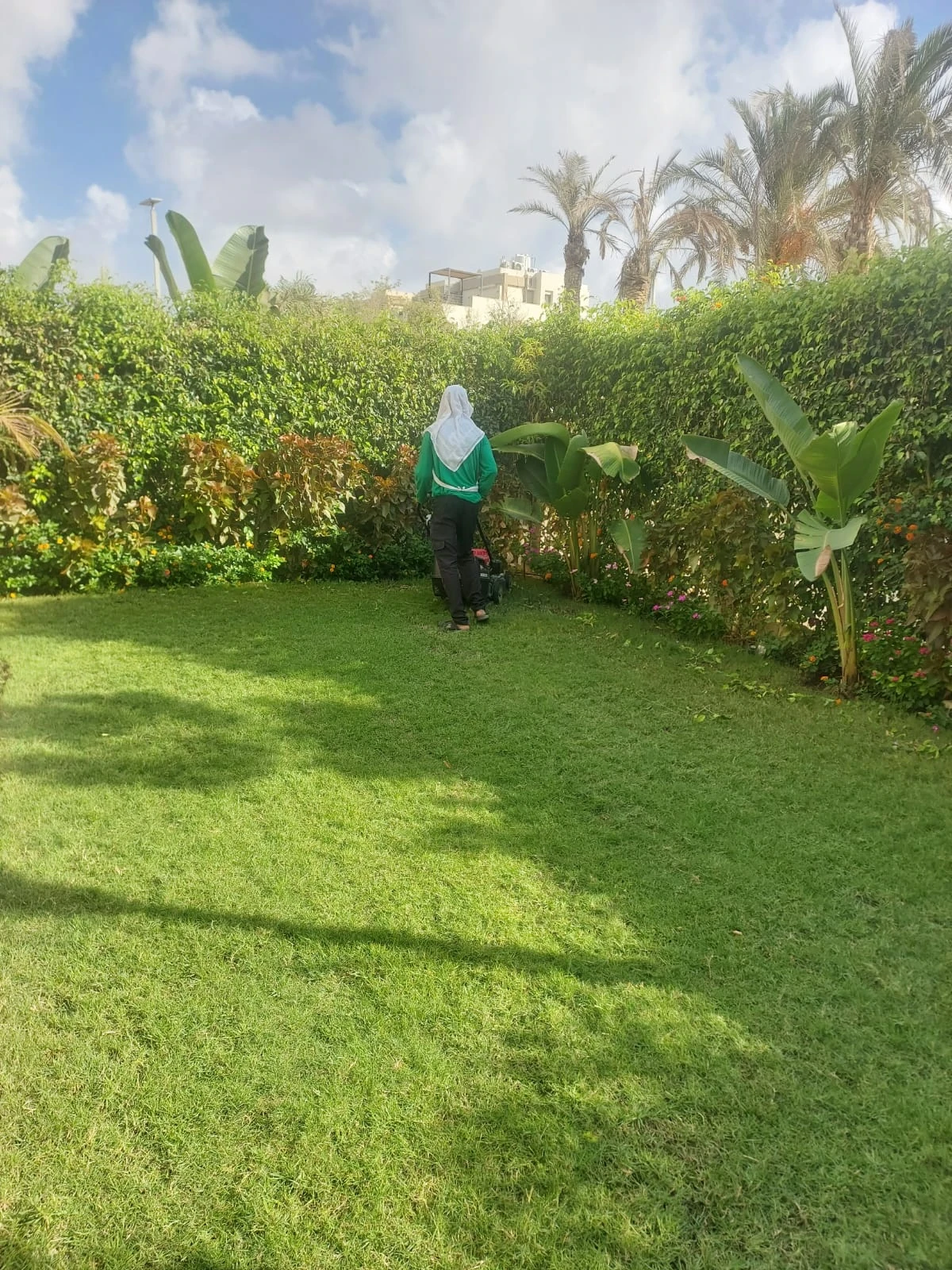 Lawn mowing among planted garden beds