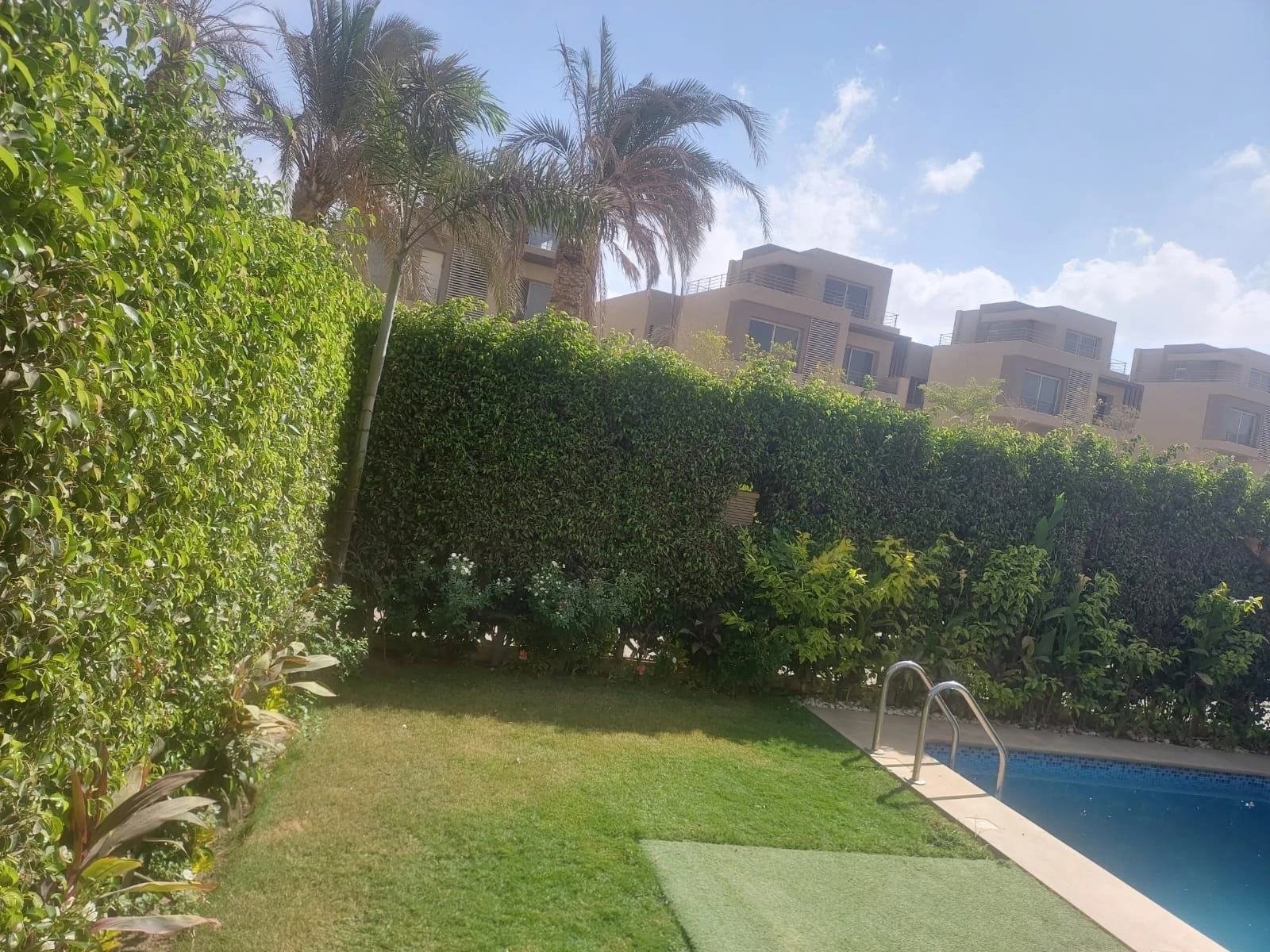 Palms, shrubs and green lawn arranged around a pool