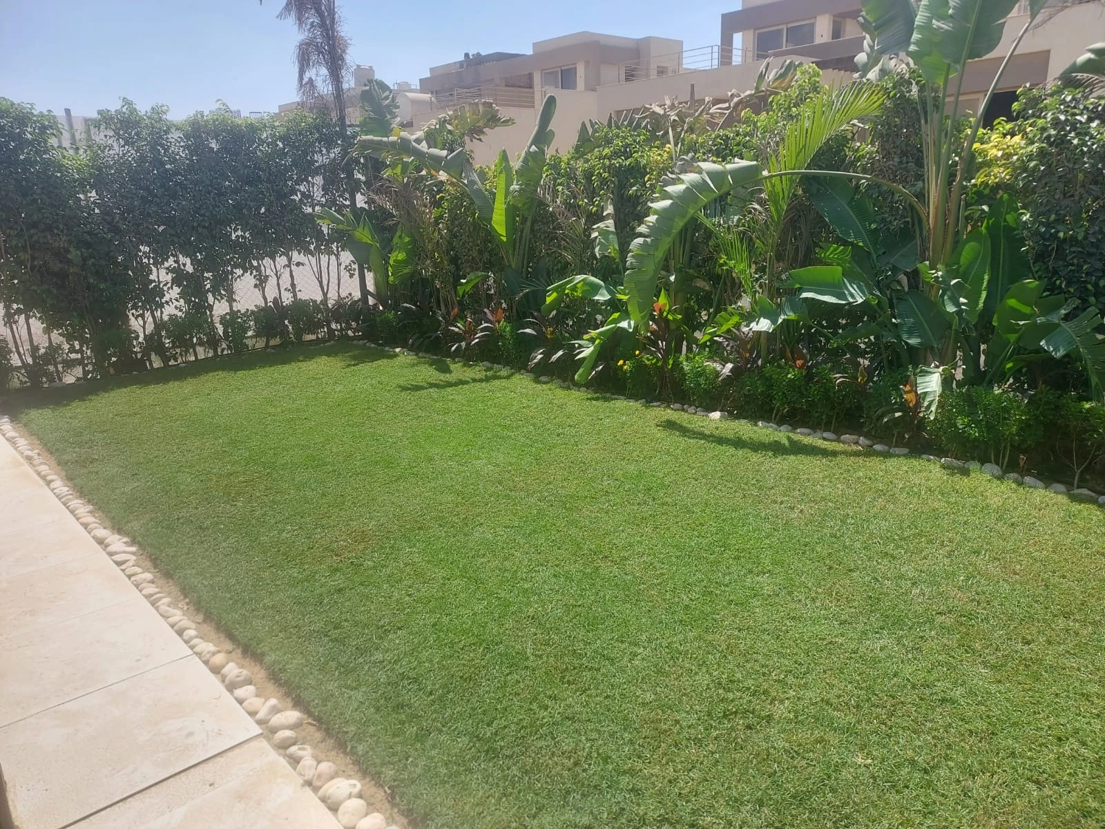 Green lawn with stone edging and varied planting beds