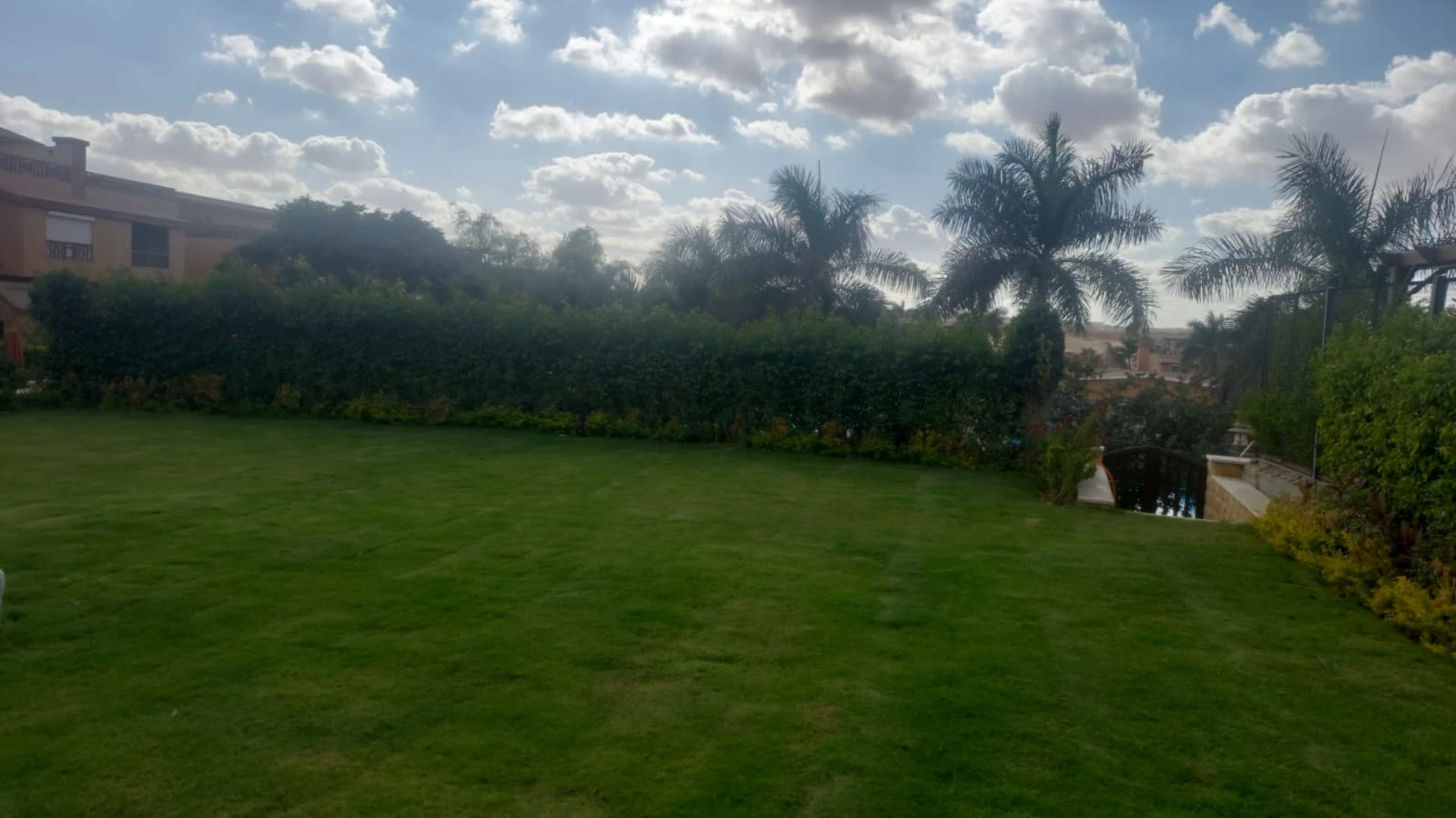 Garden with a green lawn, palms and a water feature to one side